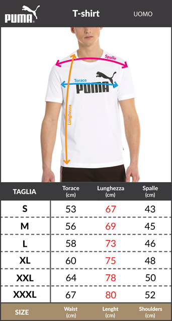 Tabella taglie e misure Maglia Maglietta T-shirt tempo libero BORUSSIA DORTMUND 09 BVB Puma Ftbl Culture Girocollo Cotone Uomo 2023 24 Grigio